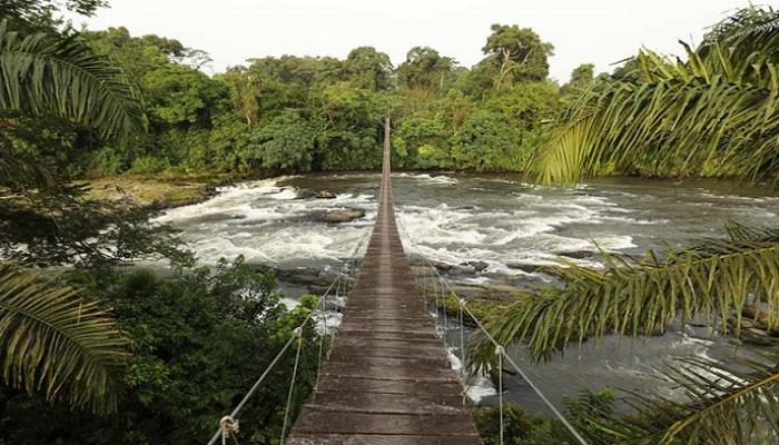 tourist attractions cameroon